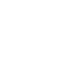Black Eagle Arrows